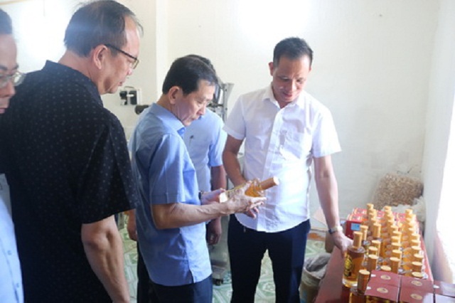 Thành viên HTX Linh Phát giới thiệu về sản phẩm rượu nấm linh chi