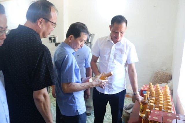 Thành viên HTX Linh Phát giới thiệu về sản phẩm rượu nấm linh chi