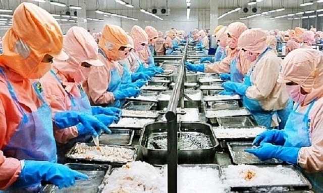 6 tháng đầu năm, “vua tôm” Minh Phú mới chỉ thực hiện được 25% kế hoạch lợi nhuận