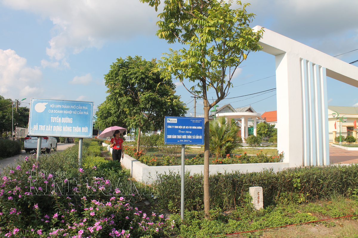 Diện mạo nông thôn xã Cẩm Hải ngày càng sáng - xanh - sạch - đẹp.