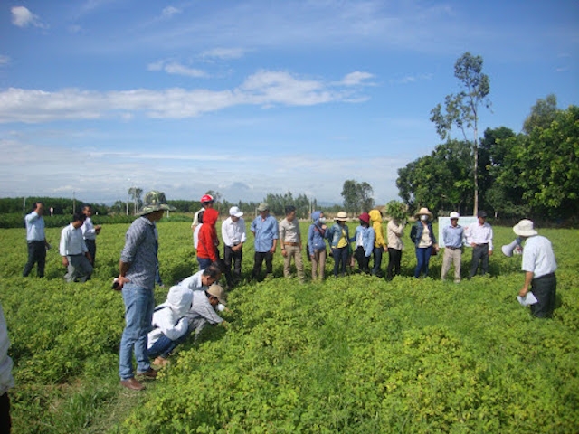 Đào tạo nghề nông thôn ở Đồng Xuân thu hút nhiều nông dân tham gia.