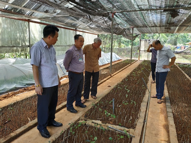 Các mô hình kinh tế hợp tác ở Đồng Xuân giúp nâng cao đời sống lao động địa phương.