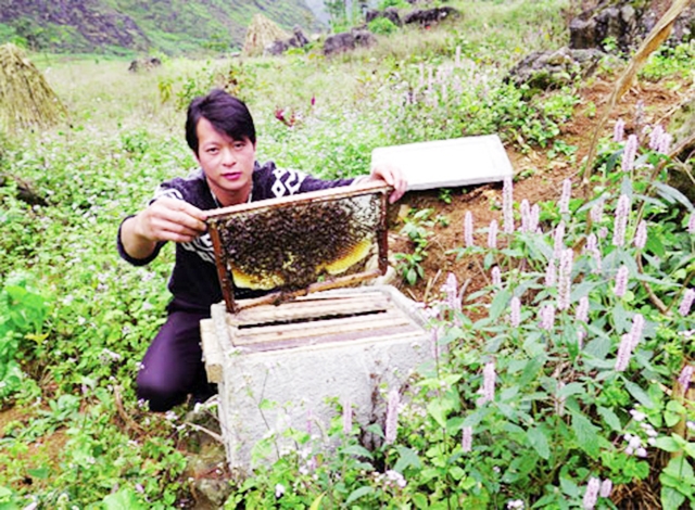 Các HTX đang phát huy thế mạnh sản xuất tại Mèo Vạc, mang lại hiệu quả thiết thực (Ảnh TL)