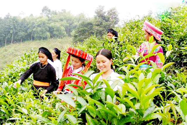 Hà Giang đang có nhiều chương trình hỗ trợ phụ nữ dân tộc thiểu số khởi nghiệp (Ảnh TL)
