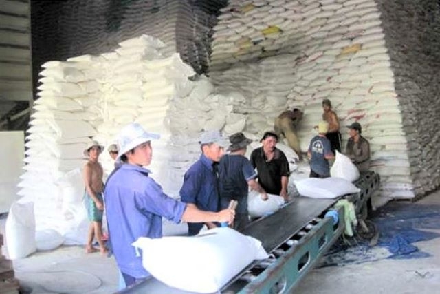 EU sẽ dành cho Việt Nam hạn ngạch 80.000 tấn gạo với mức thuế 0% đối với gạo xay xát và gạo thơm, gồm 50.000 tấn gạo lức và gạo trắng, 30.000 tấn gạo thơm (Ảnh: Internet)
