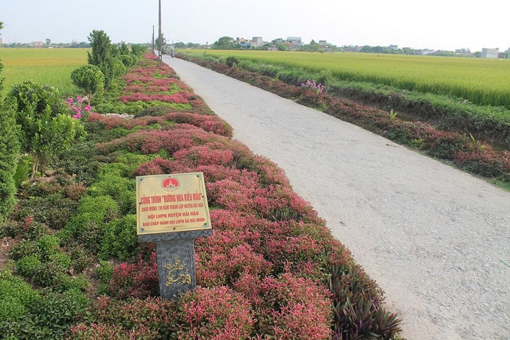 Đường hoa trên cánh đồng xã Hải Minh, huyện Hải Hậu.