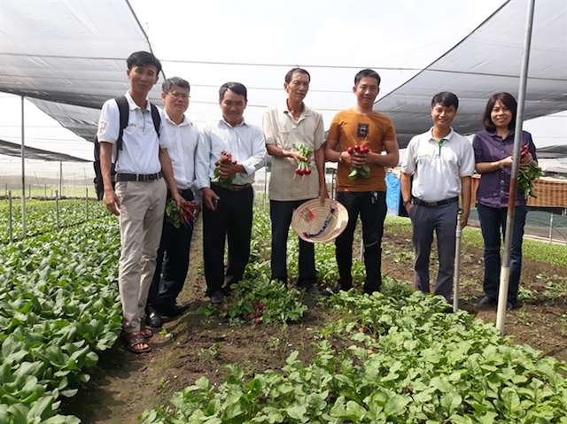 HTX Ngã Ba Giồng hoạt động hiệu quả nhiều năm nay, được nhiều người đến học hỏi.