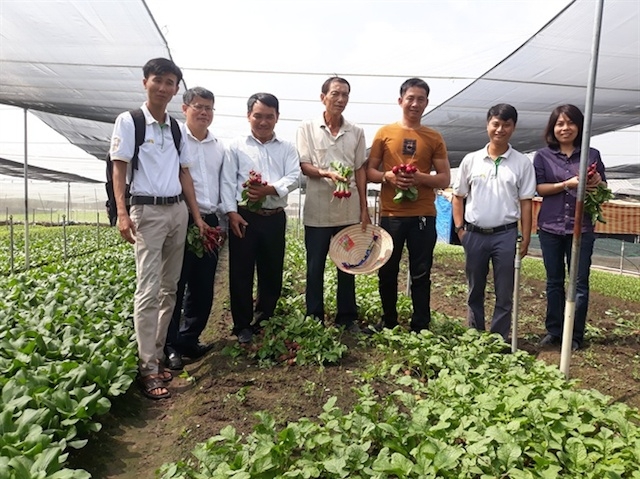 HTX Ngã Ba Giồng hoạt động hiệu quả nhiều năm nay, được nhiều người đến học hỏi.