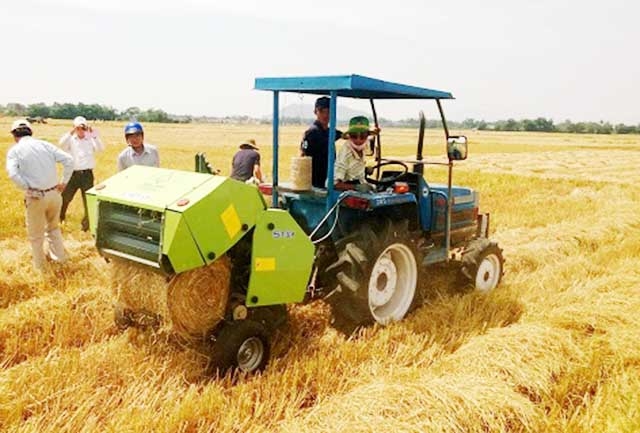 Nhờ sản xuất nông nghiệp hiệu quả, thu nhập bình quân đầu người tại Tuy Phước hiện đạt trên 47,2 triệu đồng/năm (Ảnh TL)