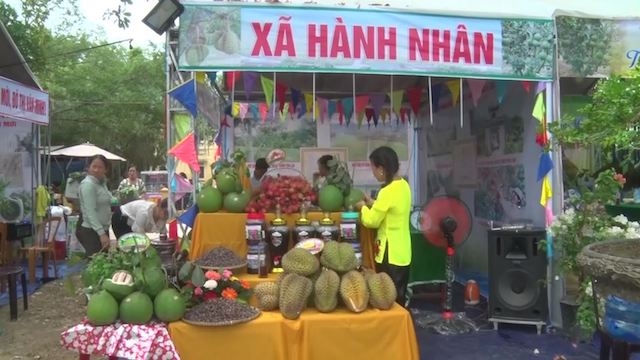 Chi hội Nghề nghiệp trồng cây ăn quả ở xã Hành Nhân giúp nâng cao thu nhập cho nông dân.