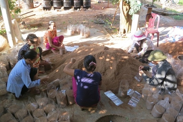 Mô hình trồng nấm thu hút được đông đảo người dân tham gia.