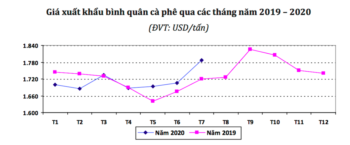 Giá xuất khẩu cà phê tháng 7 đạt mức cao nhất kể từ tháng 11/2019