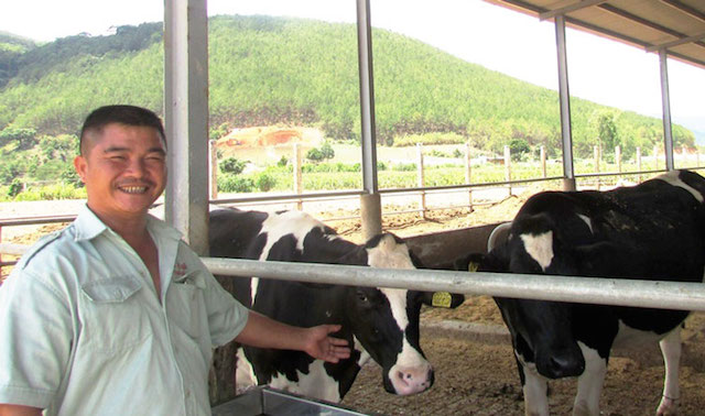 Nghề chăn nuôi bò sữa mang lại nguồn thu lớn cho người dân Đơn Dương (ảnh:TL)