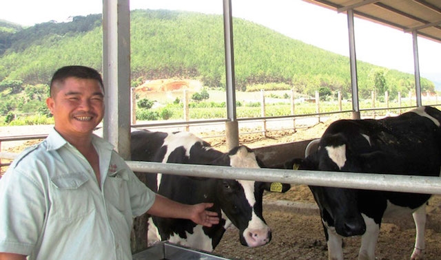 Nghề chăn nuôi bò sữa mang lại nguồn thu lớn cho người dân Đơn Dương (ảnh:TL)