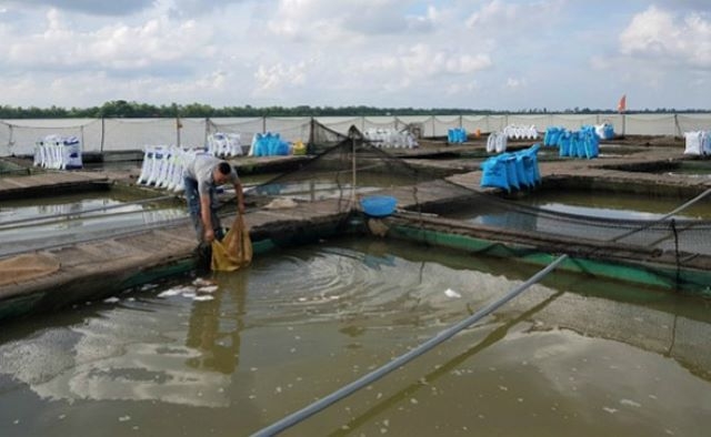 Theo đề xuất về gói hỗ trợ lần 2, các HTX được vay vốn ưu đãi với lãi suất 3,96%/năm (Ảnh: Internet)