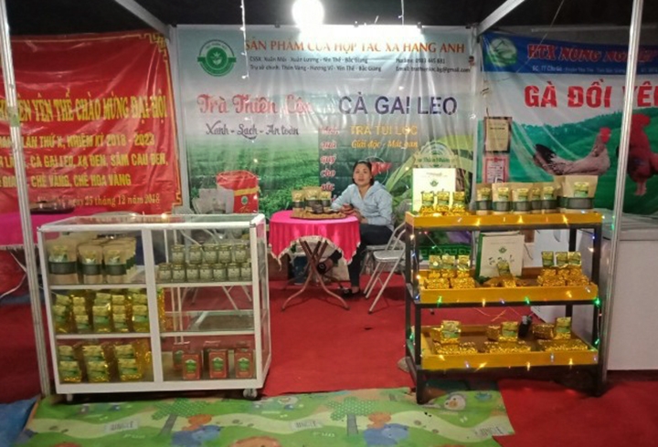 Sản phầm chè Thiên Lộc và cà gai leo trà túi lọc của HTX Hằng Anh tham gia trưng bày và giới thiệu sản phẩm của tỉnh Bắc Giang.