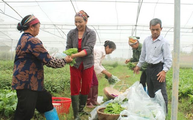 Tuyên truyền vận động thành viên HTX tham gia bảo hiểm xã hội tự nguyện.
