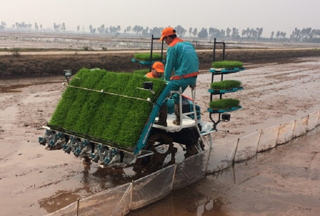 Cơ giới hóa đồng ruộng được HTX Vũ Hội thực hiện nhằm nâng cao hiệu quả sản xuất, góp phần xây dựng nông thôn mới.