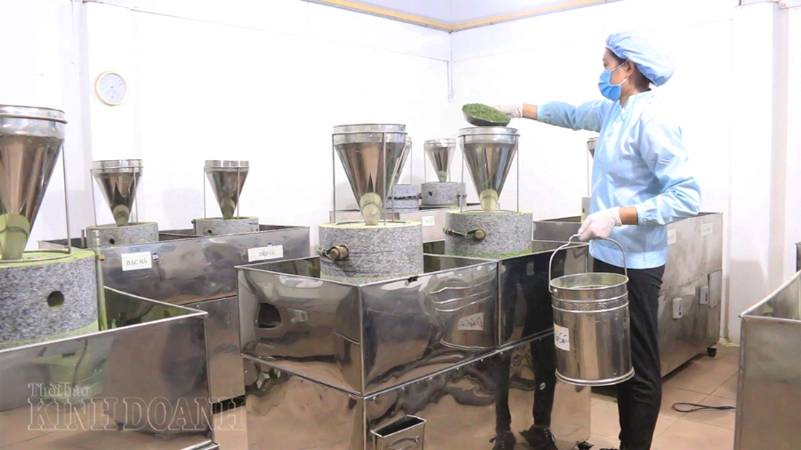 Cơ sở đầu tư 2 tỷ cho hệ thống máy móc nhằm sản xuất bột rau củ công nghệ cao