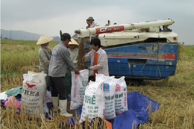 Đầu tư máy móc giúp nâng cao năng suất, giải phóng sức lao động.