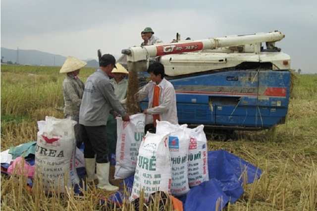 Đầu tư máy móc giúp nâng cao năng suất, giải phóng sức lao động.