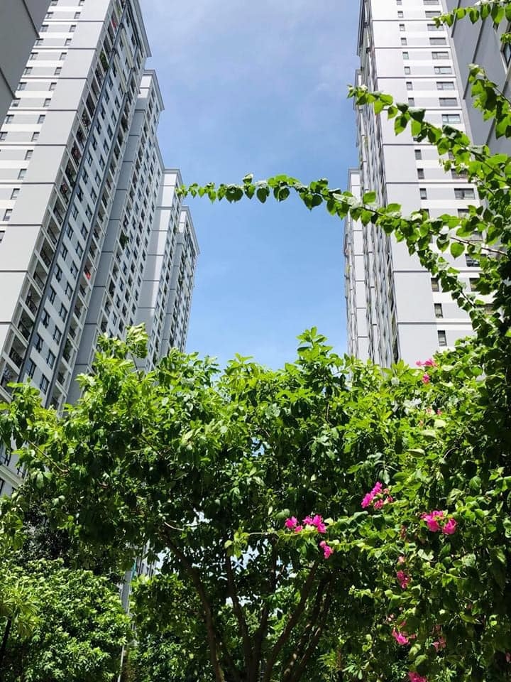 Theo một số chuyên gia, việc Chính phủ ban hành Nghị định 91 ít ảnh hưởng đến giao dịch bất động sản.