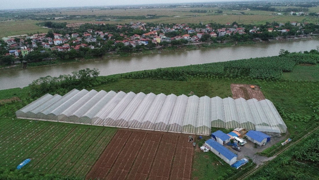 Hệ thống nhà màng rộng 3ha.