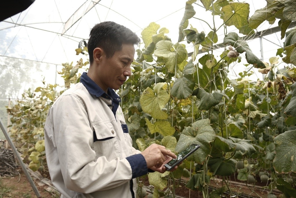 Anh Chung theo dõi thông số nhiệt độ, độ ẩm qua phần mềm.