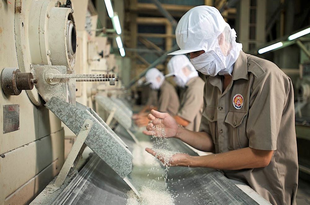 EU dành cho Việt Nam hạn ngạch 80.000 tấn gạo/năm với mức thuế 0%, là cơ hội lớn cho ngành lúa gạo Việt Nam nâng cao thị phần tại thị trường cao cấp này.