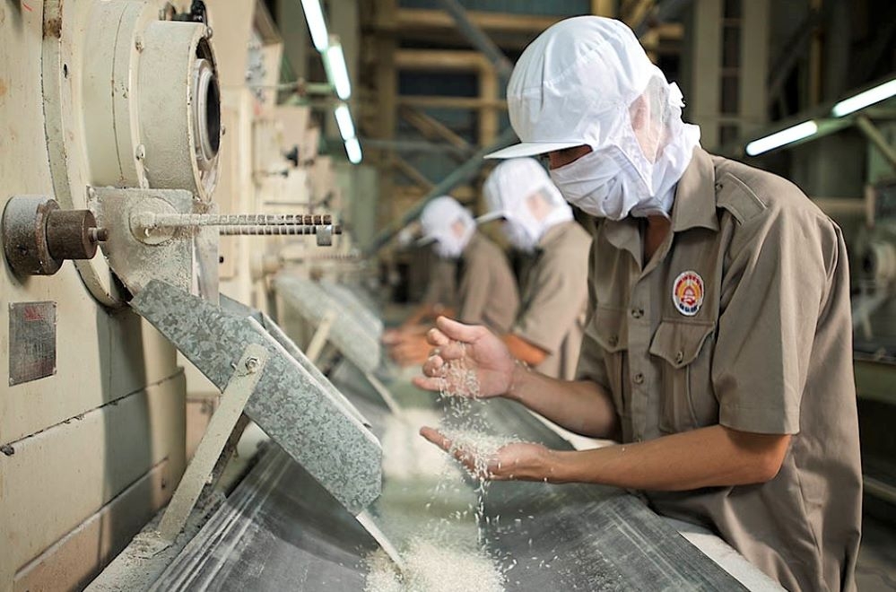 EU dành cho Việt Nam hạn ngạch 80.000 tấn gạo/năm với mức thuế 0%, là cơ hội lớn cho ngành lúa gạo Việt Nam nâng cao thị phần tại thị trường cao cấp này.