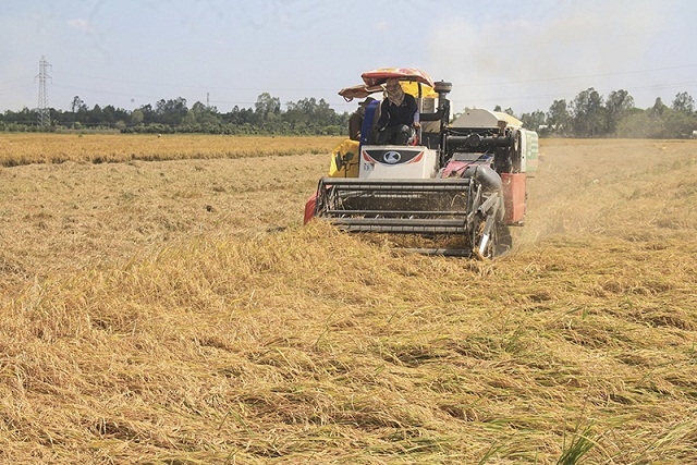 Cơ giới hóa đồng ruộng cần đi đôi với an toàn lao động để nâng cao hiệu quả sản xuất.