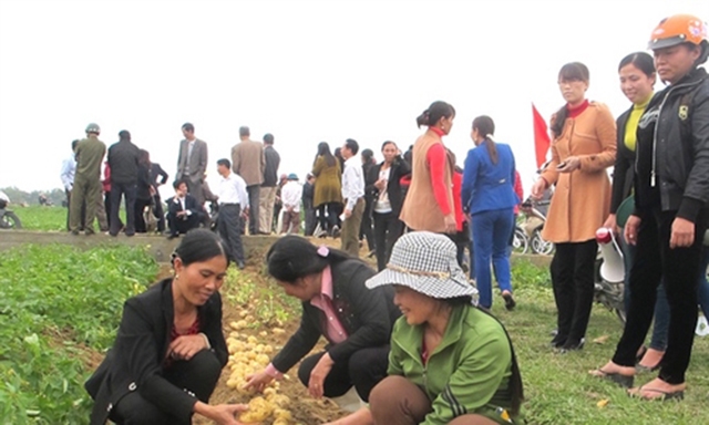 Các lớp dạy nghề cho lao động nông thôn theo hướng cầm tay chỉ việc luôn mang lại hiệu quả thiết thực.