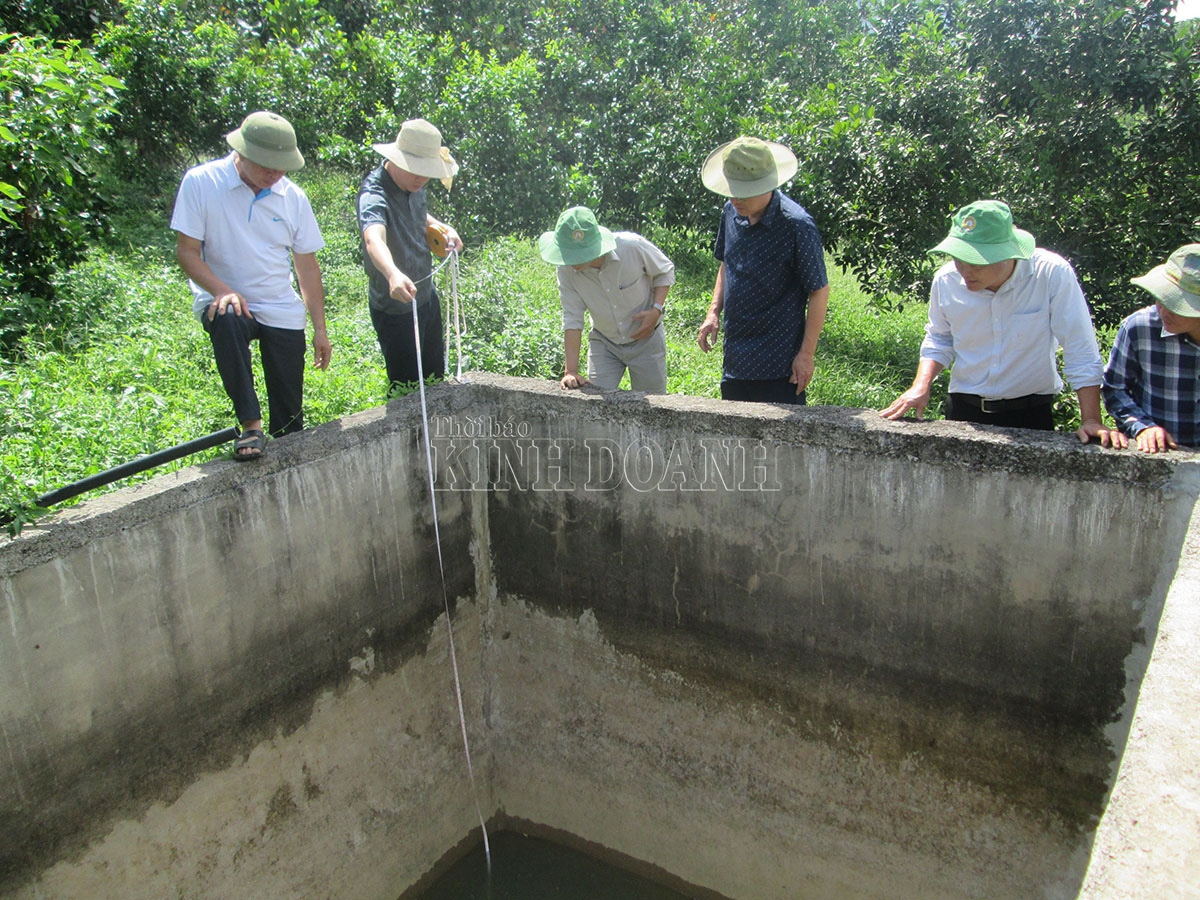 Cán bộ chương trình khảo sát thực tế để xây dựng hệ thống tưới và bón phân tự động cho HTX Mường Động.