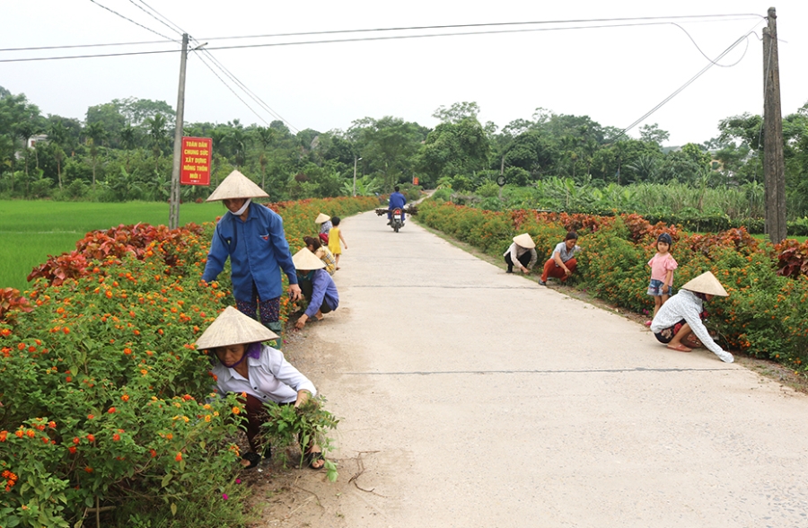 Sự vào cuộc tích cực của người dân giúp môi trường nông thôn trở nên xanh, sạch, đẹp (Ảnh:TL)