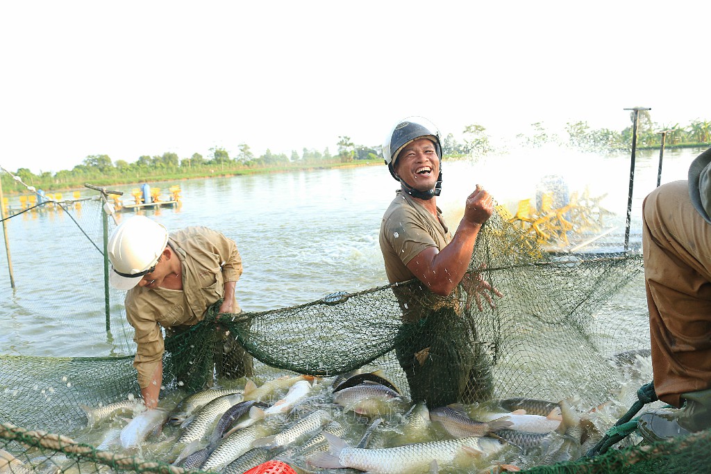 Người dân Trầm Lộng phấn khởi với mẻ cá lớn.