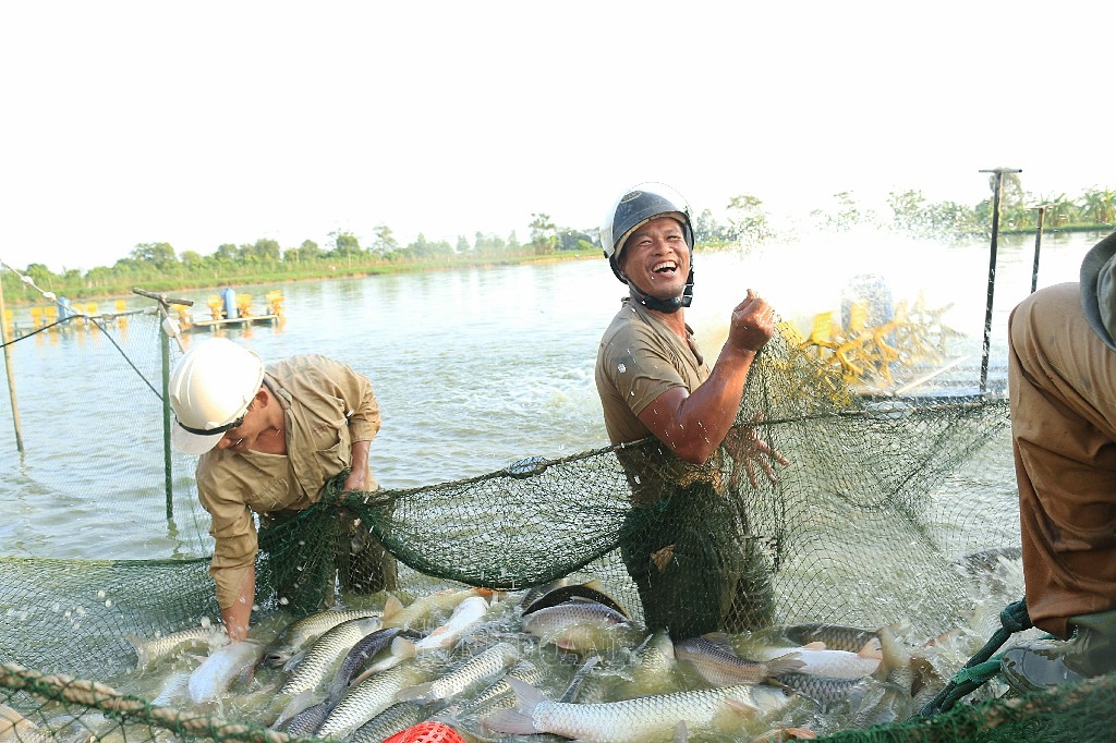 Người dân Trầm Lộng phấn khởi với mẻ cá lớn.