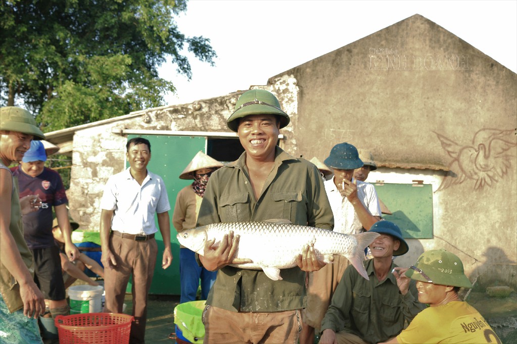 Anh Nguyễn Mạnh Tưởng cho biết cá trắm của gia đình có trọng lượng trung bình từ 3,8 - 4 kg.