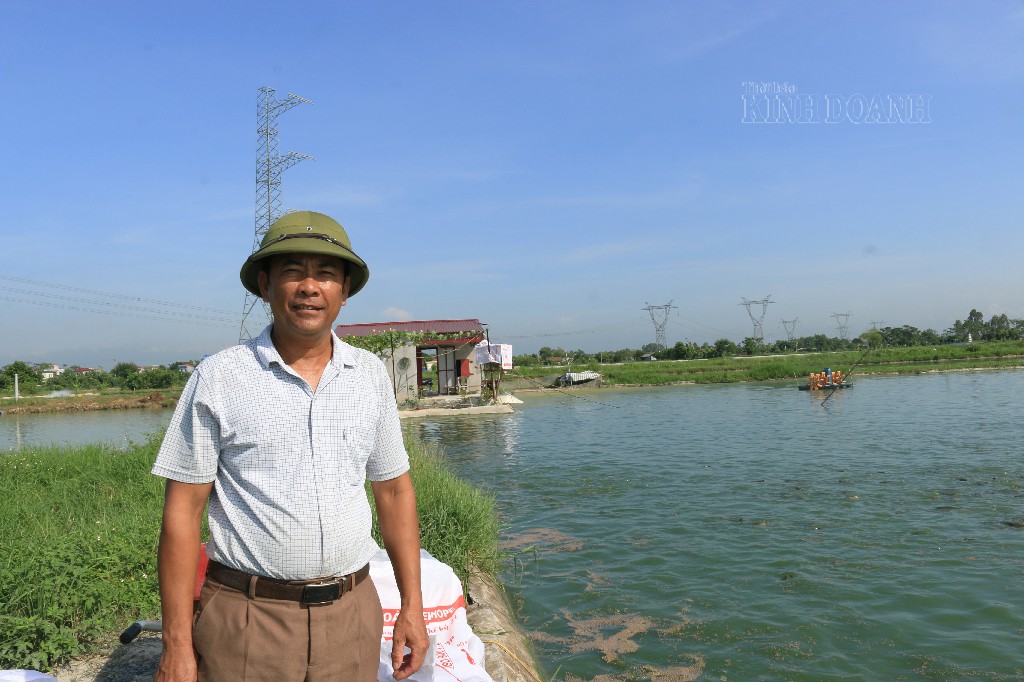 Ông Lê Xuân Hữu, Giám đốc HTX chia sẻ về những khó khăn của HTX về đầu ra sản phẩm.