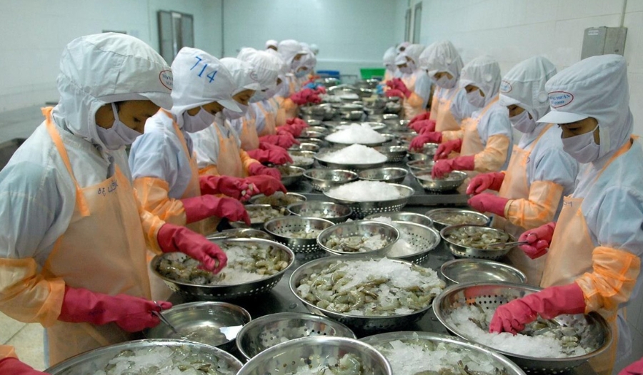 Các DN thủy sản đang gặp vướng mắc về thuế TNDN.