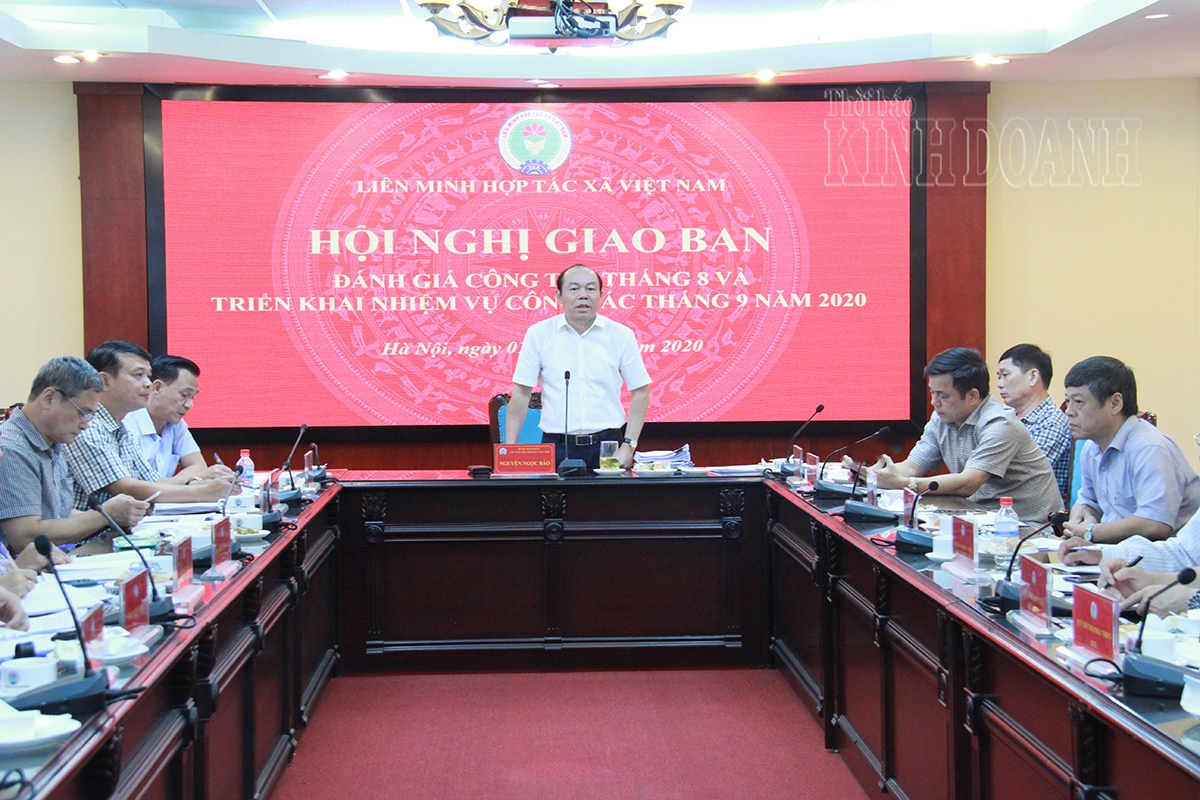 Chủ tịch Liên minh HTX Việt Nam phát biểu chỉ đạo hội nghị.