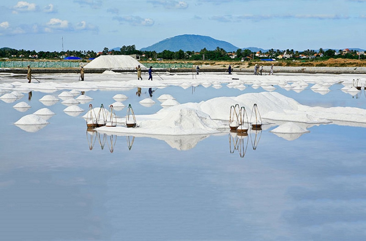 Việt Nam là nước được đánh giá có nhiều tiềm năng phát triền nghề muối.