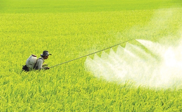 Phun thuốc thủ công và lạm dụng các loại thuốc bảo vệ thực vật khiến môi trường ngày càng bị ô nhiễm.