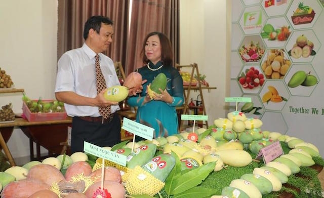 Xuất khẩu hàng rau quả 8 tháng 2020 ước đạt 2,26 tỷ USD, giảm 11,3% so với cùng kỳ năm 2019.