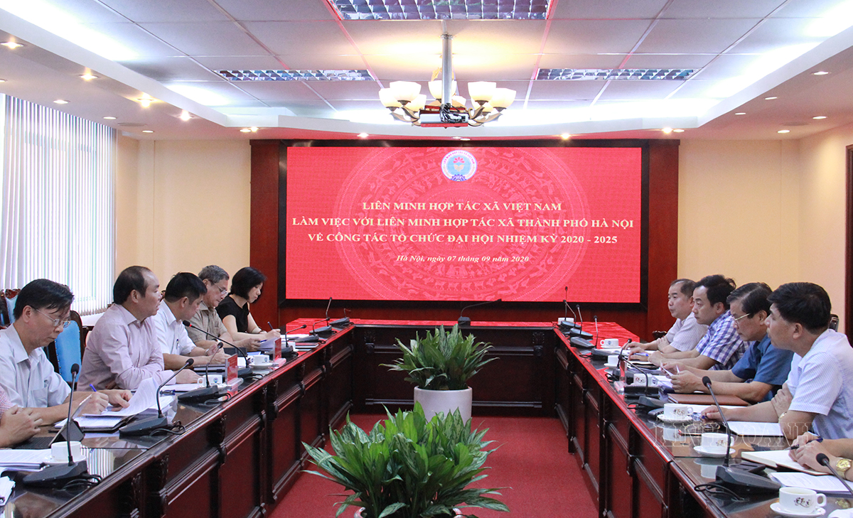 Lãnh đạo Liên minh HTX Việt Nam làm việc với Liên minh HTX TP Hà Nội.
