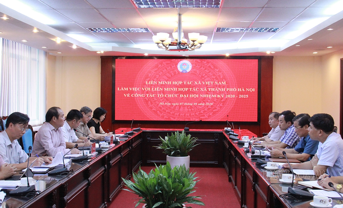 Lãnh đạo Liên minh HTX Việt Nam làm việc với Liên minh HTX TP Hà Nội.