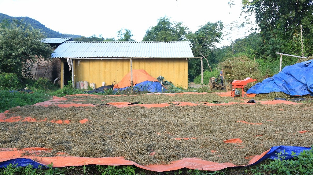 Nhà xưởng còn đơn sơ, chưa chắc chắn.