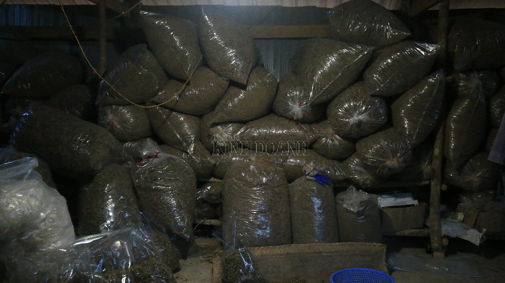 HTX mong nhận đươc hỗ trợ về vốn để xây dựng và hoàn thiện quy trình sản xuất, thu hút doanh nghiệp thu mua.