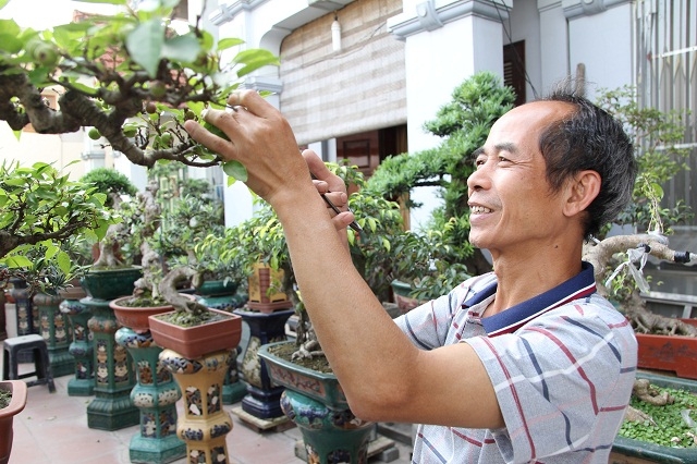 Nghề trồng cây cảnh mang lại thu nhập cao cho người dân thôn Phú Bình