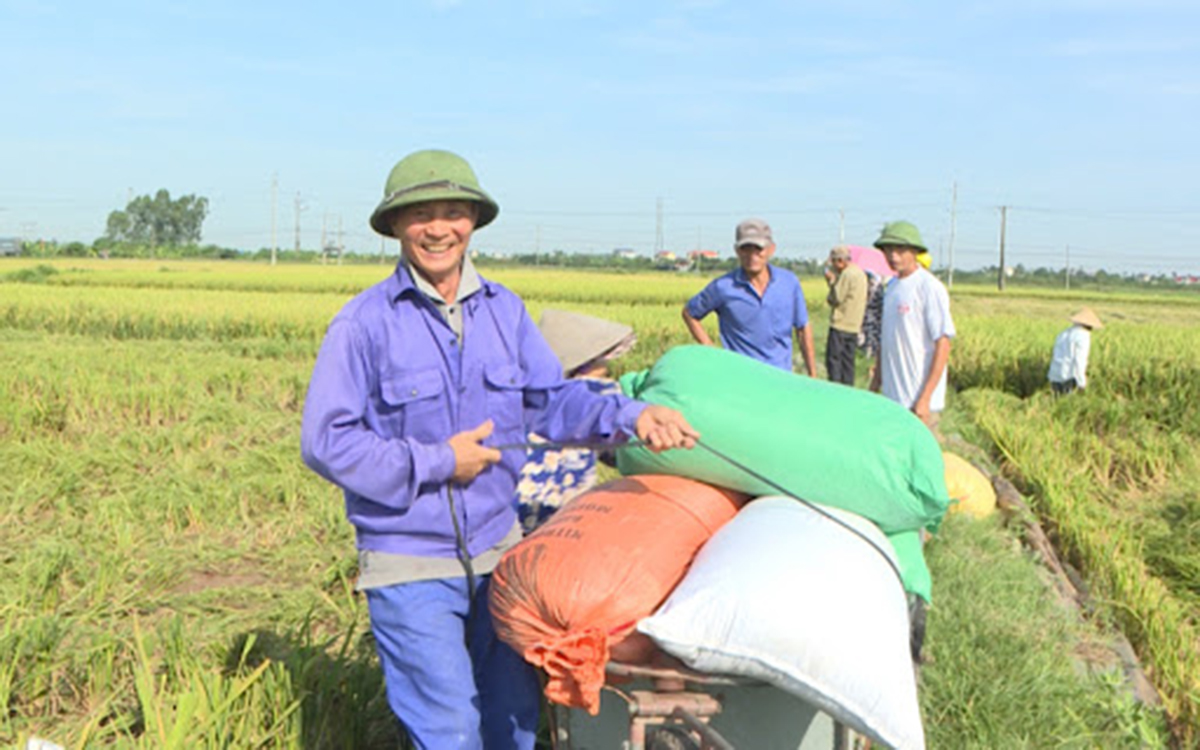 HTX đang trở thành điểm tựa làm giàu cho thành viên.