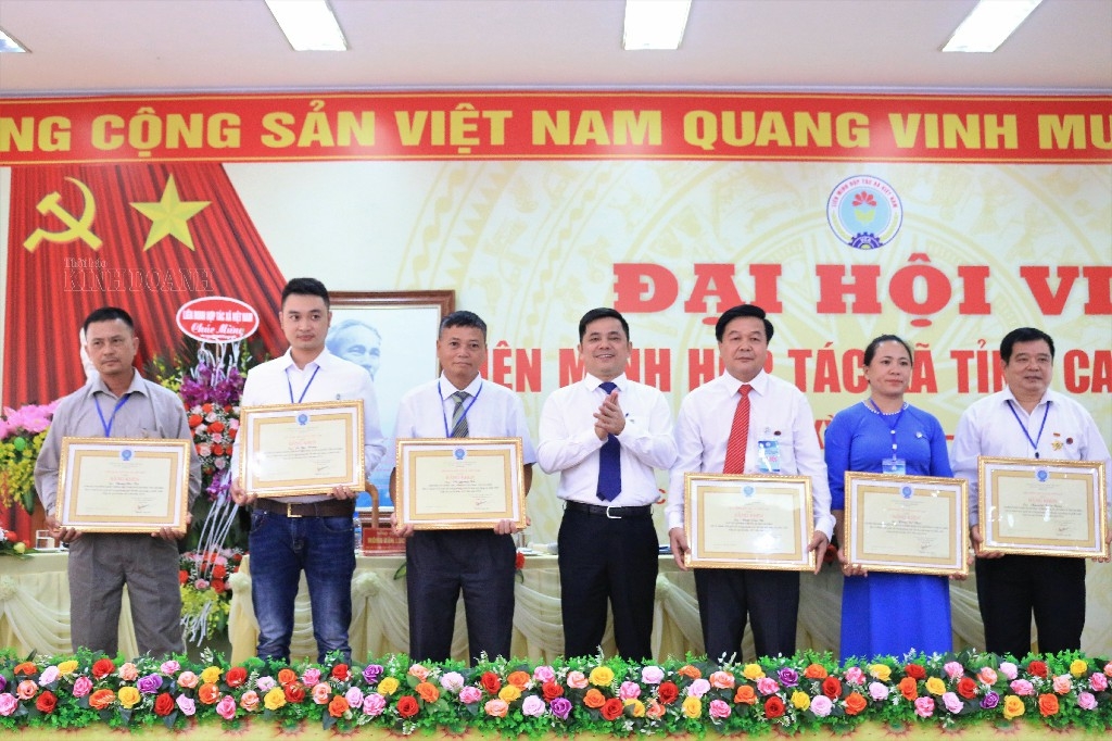 Nhiều tập thể, cá nhân được nhận Bằng khen của Liên minh HTX Việt Nam.